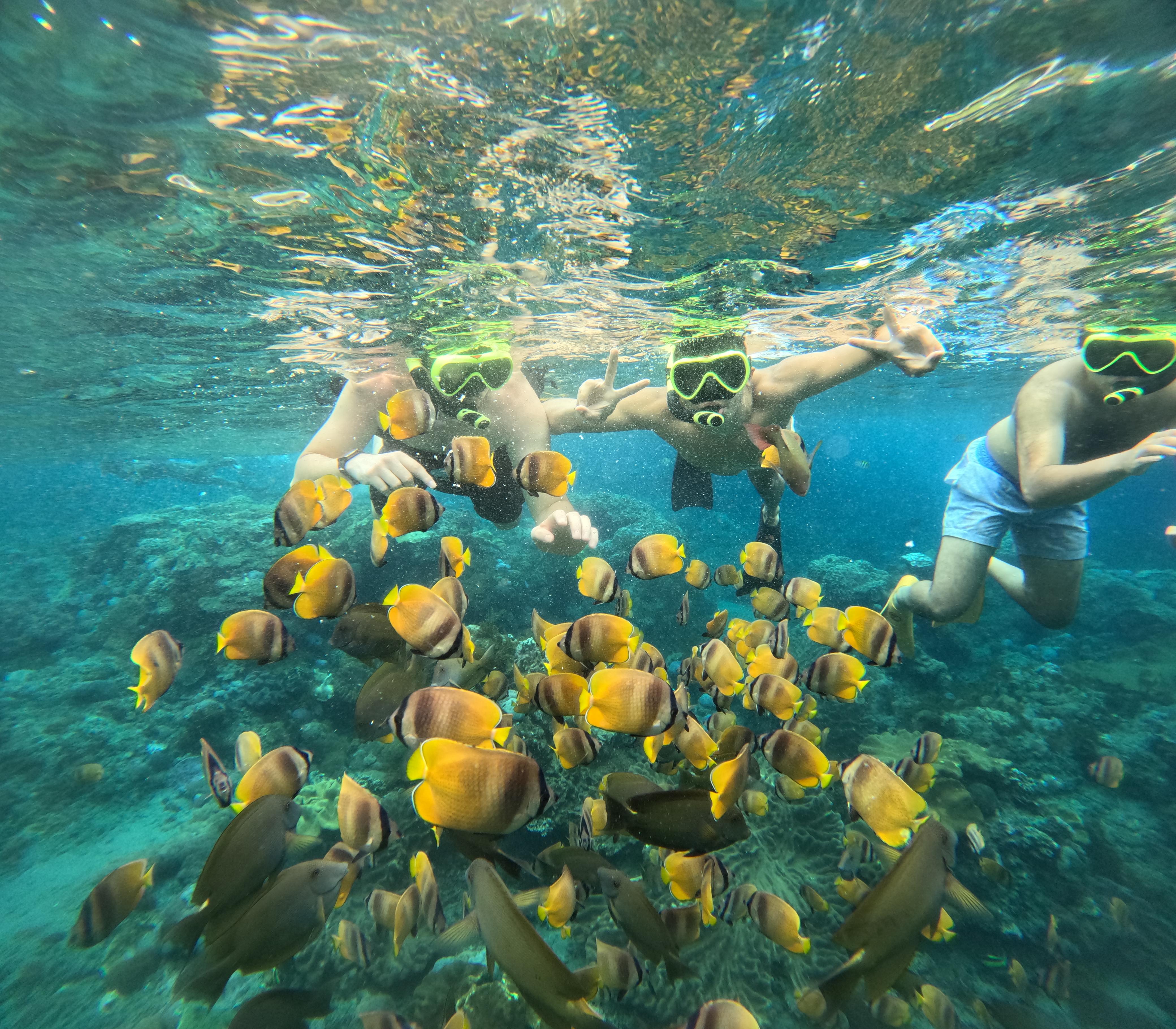 One Day Trip Nusa Penida West Side & Snorkeling